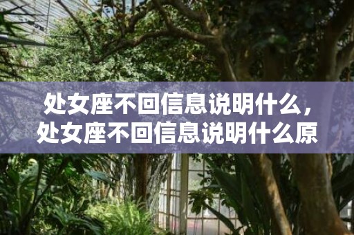 处女座不回信息说明什么，处女座不回信息说明什么原因