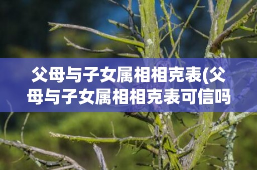 父母与子女属相相克表(父母与子女属相相克表可信吗)(父母与子女属相相冲)