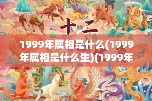 1999年属相是什么(1999年属相是什么生)(1999年属兔是什么命)