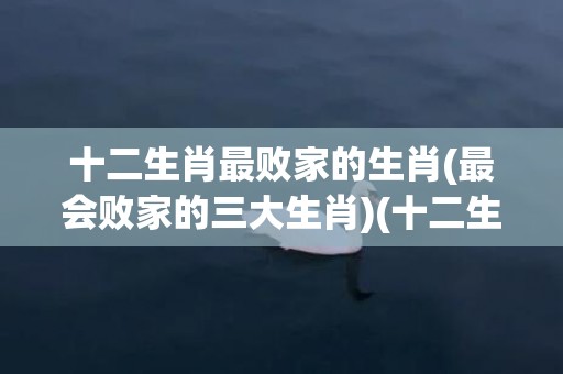 十二生肖最败家的生肖(最会败家的三大生肖)(十二生肖最败家的生肖)