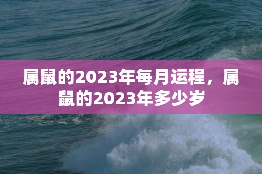 属鼠的2023年每月运程，属鼠的2023年多少岁