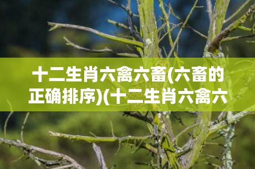 十二生肖六禽六畜(六畜的正确排序)(十二生肖六禽六畜数字)
