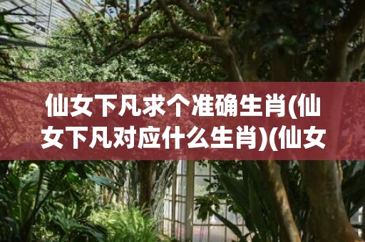 仙女下凡求个准确生肖(仙女下凡对应什么生肖)(仙女下凡准确打三个数字)