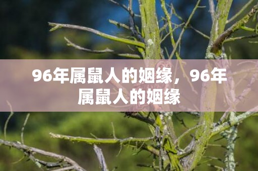 96年属鼠人的姻缘，96年属鼠人的姻缘