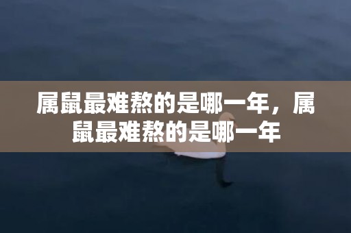 属鼠最难熬的是哪一年，属鼠最难熬的是哪一年