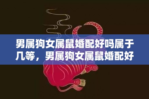 男属狗女属鼠婚配好吗属于几等，男属狗女属鼠婚配好吗