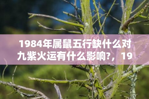 1984年属鼠五行缺什么对九紫火运有什么影响?，1984年属鼠五行属什么