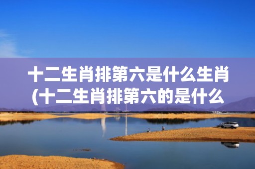 十二生肖排第六是什么生肖(十二生肖排第六的是什么生肖呢)(十二生肖排第六是哪一个生肖)