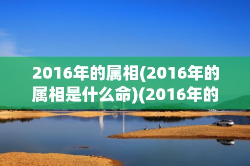 2016年的属相(2016年的属相是什么命)(2016年的属相是什么命)