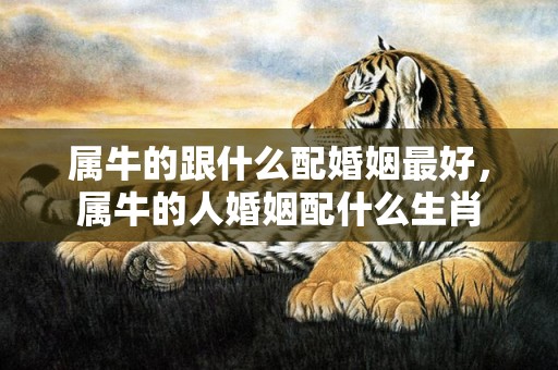 属牛的跟什么配婚姻最好，属牛的人婚姻配什么生肖
