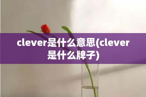 clever是什么意思(clever是什么牌子)