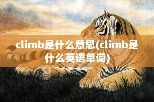climb是什么意思(climb是什么英语单词)