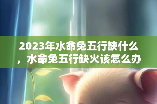 2023年水命兔五行缺什么，水命兔五行缺火该怎么办？