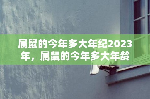 属鼠的今年多大年纪2023年，属鼠的今年多大年龄