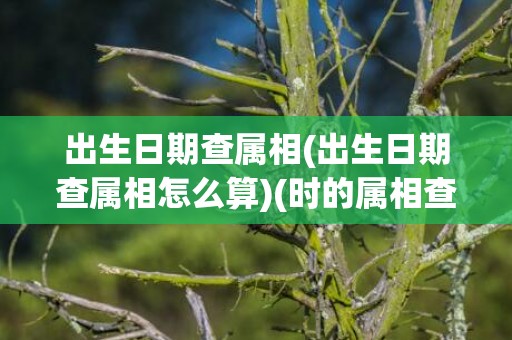 出生日期查属相(出生日期查属相怎么算)(时的属相查询)