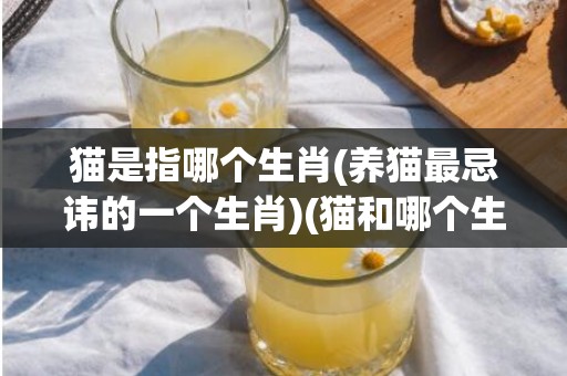 猫是指哪个生肖(养猫最忌讳的一个生肖)(猫和哪个生肖有关)