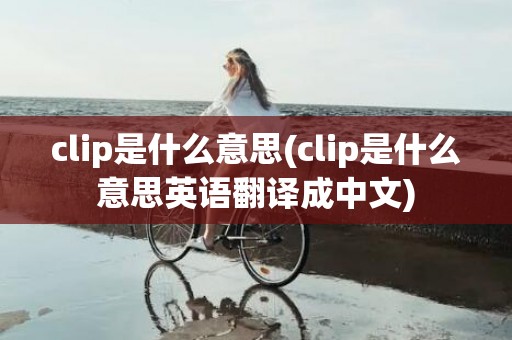 clip是什么意思(clip是什么意思英语翻译成中文)