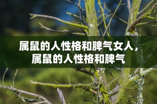 属鼠的人性格和脾气女人，属鼠的人性格和脾气