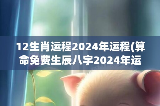 12生肖运程2024年运程(算命免费生辰八字2024年运势)(12生肖运程2023)