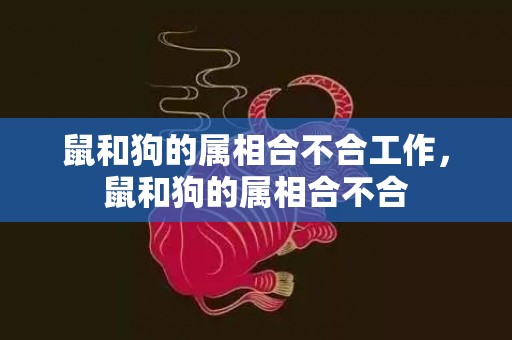 鼠和狗的属相合不合工作，鼠和狗的属相合不合