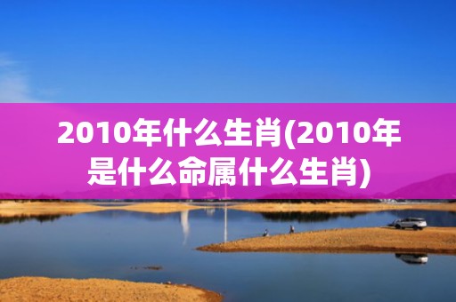 2010年什么生肖(2010年是什么命属什么生肖)