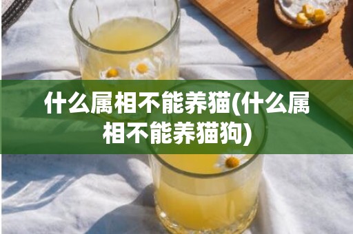 什么属相不能养猫(什么属相不能养猫狗)