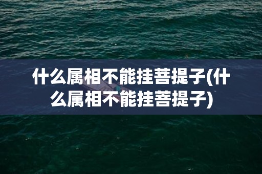 什么属相不能挂菩提子(什么属相不能挂菩提子)