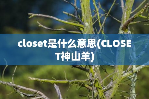 closet是什么意思(CLOSET神山羊)