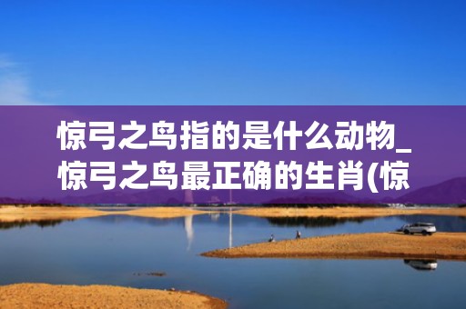 惊弓之鸟指的是什么动物_惊弓之鸟最正确的生肖(惊弓之鸟指的是谁)