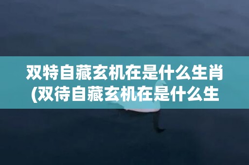 双特自藏玄机在是什么生肖(双待自藏玄机在是什么生肖)(双特自藏玄机在指什么生肖)