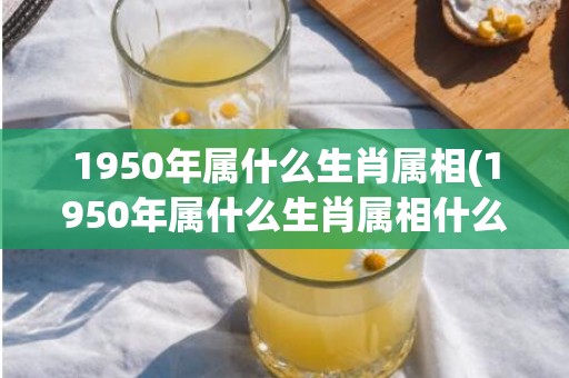 1950年属什么生肖属相(1950年属什么生肖属相什么命)(1950年属什么虎)