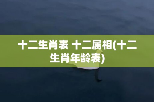 十二生肖表 十二属相(十二生肖年龄表)