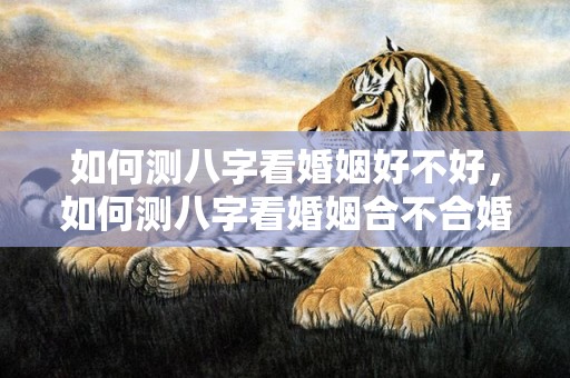 如何测八字看婚姻好不好，如何测八字看婚姻合不合婚