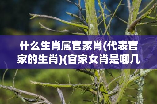 什么生肖属官家肖(代表官家的生肖)(官家女肖是哪几个生肖)