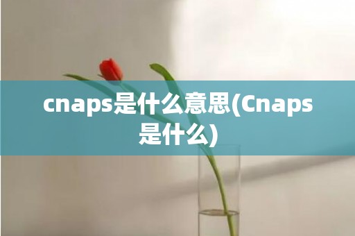 cnaps是什么意思(Cnaps是什么)