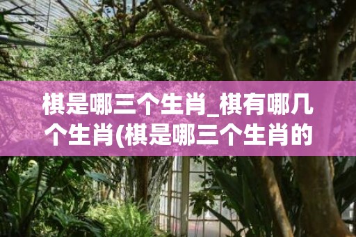 棋是哪三个生肖_棋有哪几个生肖(棋是哪三个生肖的动物)
