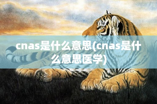 cnas是什么意思(cnas是什么意思医学)
