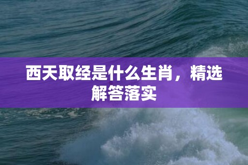 西天取经是什么生肖，精选解答落实