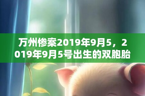 万州惨案2019年9月5，2019年9月5号出生的双胞胎男孩起什么名字比较好，五行属什么