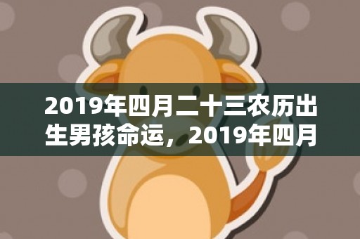 2019年四月二十三农历出生男孩命运，2019年四月二十八出生的男孩如何起名字，五行属什么