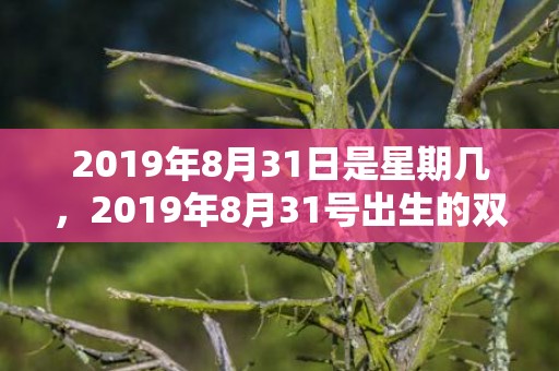 2019年8月31日是星期几，2019年8月31号出生的双胞胎男孩起什么名字比较好，五行属什么