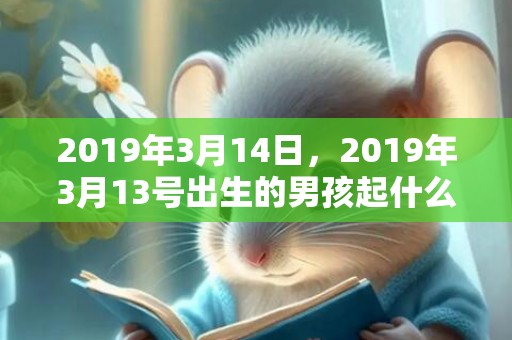 2019年3月14日，2019年3月13号出生的男孩起什么名字好，应该注意什么？