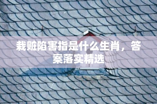 栽赃陷害指是什么生肖，答案落实精选