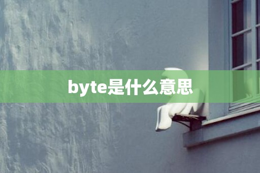 byte是什么意思