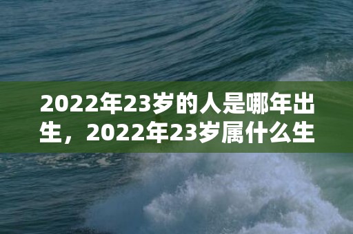 2022年23岁的人是哪年出生，2022年23岁属什么生肖