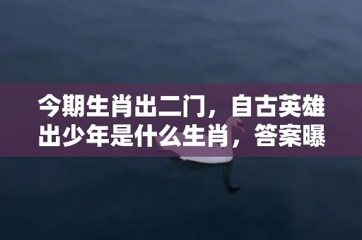 今期生肖出二门，自古英雄出少年是什么生肖，答案曝光落实