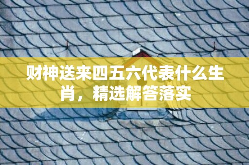 财神送来四五六代表什么生肖，精选解答落实
