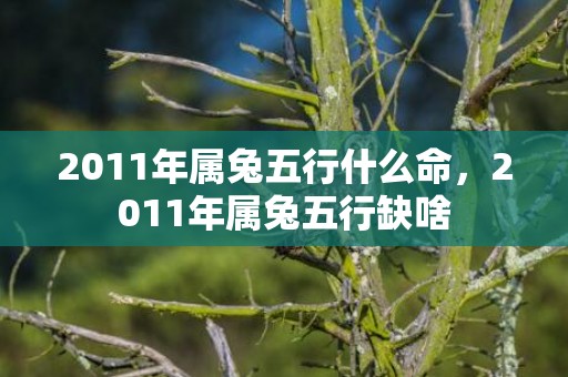 2011年属兔五行什么命，2011年属兔五行缺啥
