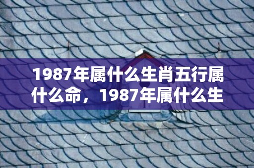 1987年属什么生肖五行属什么命，1987年属什么生肖匹配