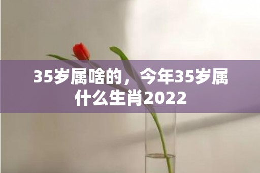 35岁属啥的，今年35岁属什么生肖2022